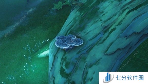 鸣潮云芝采集路线位置大全 吟霖突破材料收集图一览图片1