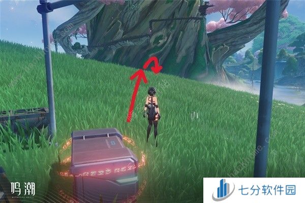 鸣潮无光之森生态调查探索攻略 六个无光之森生态调查在哪图片18
