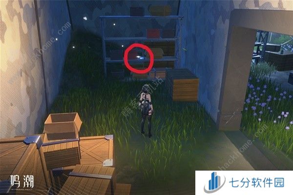 鸣潮无光之森生态调查探索攻略 六个无光之森生态调查在哪图片21