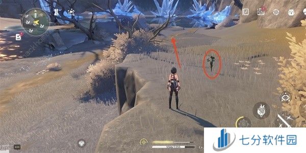 鸣潮傲寒钟采集路线图 傲寒钟哪里多图片7