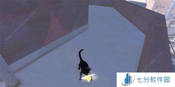 小猫咪大城市向日葵帽在哪 向日葵帽收集位置攻略[多图]图片6