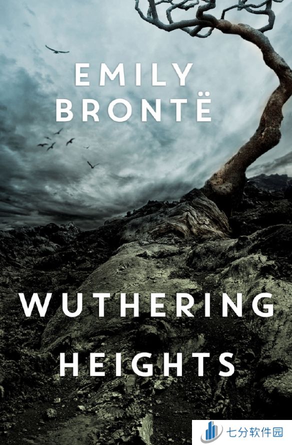 玛格特・罗比确定主演电影版《呼啸山庄》，化身凯瑟琳